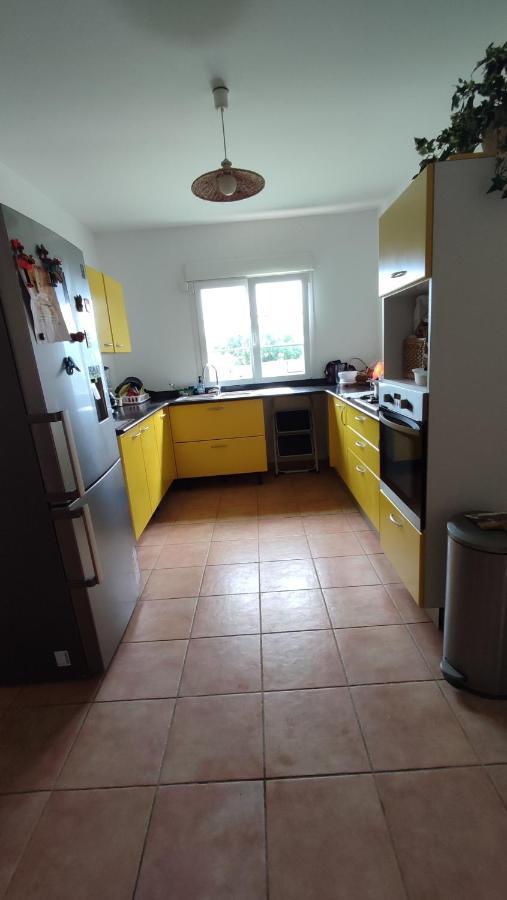 Fleurs Des Iles 971 Appartamento Goyave Esterno foto